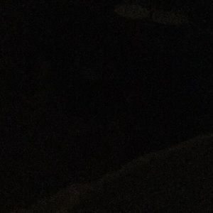 Meet your Posher, Bryan